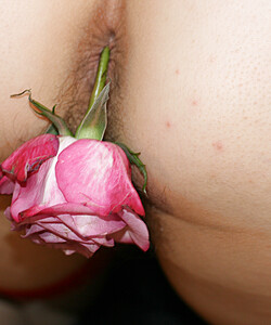 sarahporn69 s flower 2